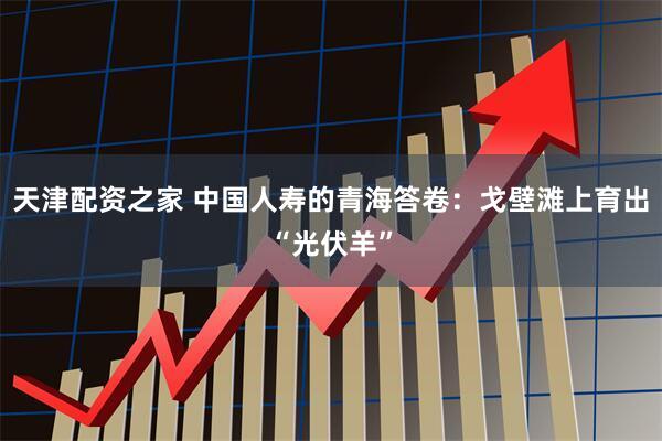 天津配资之家 中国人寿的青海答卷：戈壁滩上育出“光伏羊”