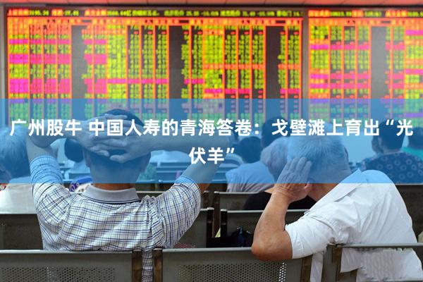 广州股牛 中国人寿的青海答卷：戈壁滩上育出“光伏羊”
