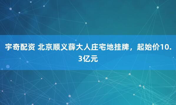 宇奇配资 北京顺义薛大人庄宅地挂牌，起始价10.3亿元