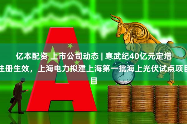 亿本配资 上市公司动态 | 寒武纪40亿元定增注册生效，上海电力拟建上海第一批海上光伏试点项目