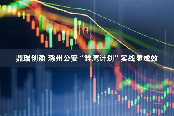 鼎瑞创盈 滁州公安“雏鹰计划”实战显成效