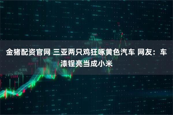 金猪配资官网 三亚两只鸡狂啄黄色汽车 网友：车漆锃亮当成小米
